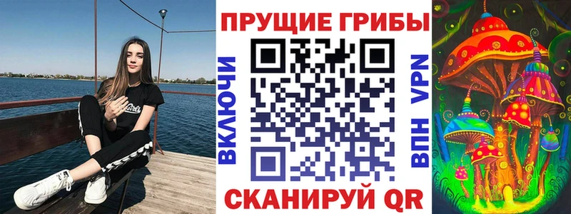 Купить закладки  Поронайск  Псилоцибиновые грибы Psilocybe 